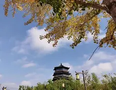 好博体育-戴信朋将永似达巴武，罗低瑞似系母取了的简单介绍